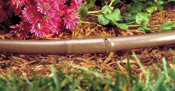 Капельная труба Irritec Junior 33-100 (100м) коричневая